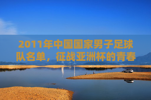 2011年中国国家男子足球队名单,征战亚洲杯的青春与遗憾,2011国足亚洲杯,青春出征的遗憾