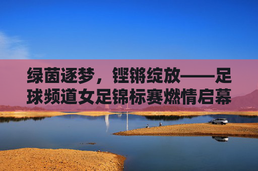 绿茵逐梦，铿锵绽放——足球频道女足锦标赛燃情启幕，绿茵逐梦铿锵绽放，足球频道女足锦标赛燃情启幕