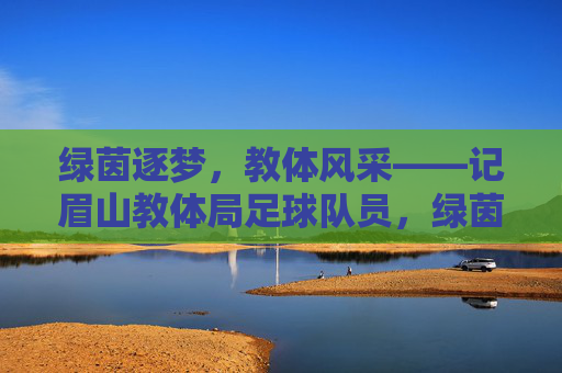 绿茵逐梦,教体风采——记眉山教体局足球队员,绿茵逐梦展教体风采——眉山教体局足球队员