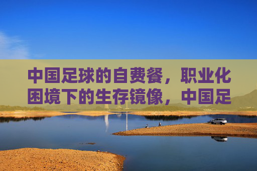 中国足球的自费餐,职业化困境下的生存镜像,中国足球的自费餐,职业化困境下的生存镜像