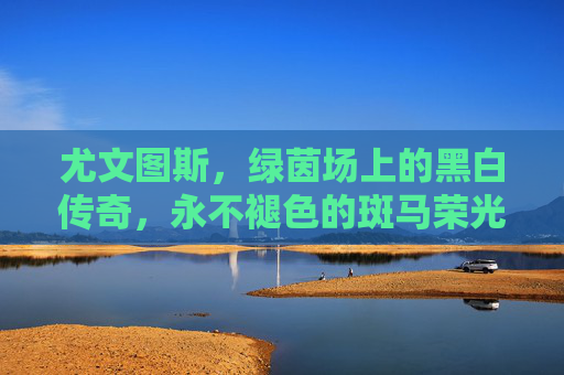 尤文图斯，绿茵场上的黑白传奇，永不褪色的斑马荣光，黑白传奇，永不褪色的斑马荣光