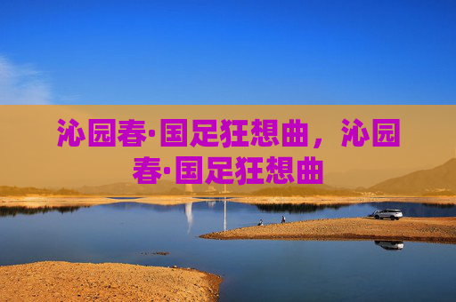 沁园春·国足狂想曲,沁园春·国足狂想曲