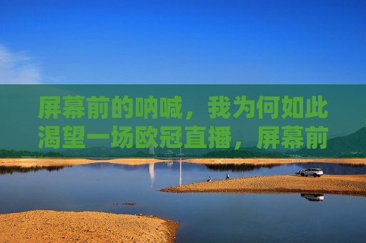 屏幕前的呐喊,我为何如此渴望一场欧冠直播,屏幕前的呐喊,渴望一场欧冠直播
