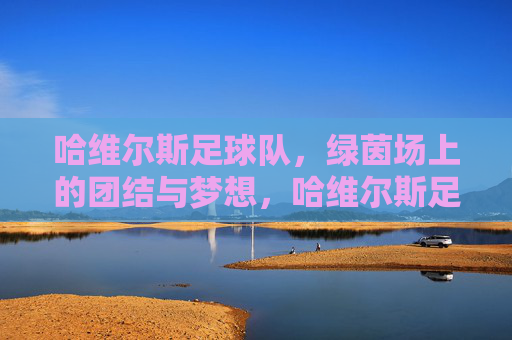 哈维尔斯足球队,绿茵场上的团结与梦想,哈维尔斯足球队,绿茵场上的团结与梦想