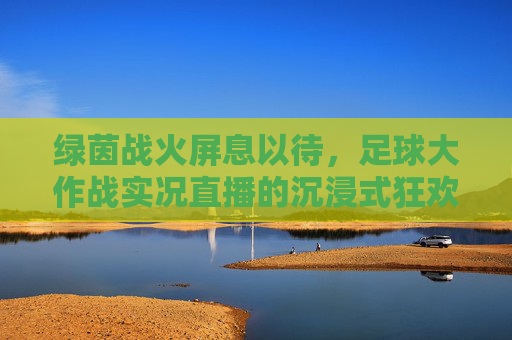 绿茵战火屏息以待，足球大作战实况直播的沉浸式狂欢，绿茵战火实况直播沉浸式狂欢
