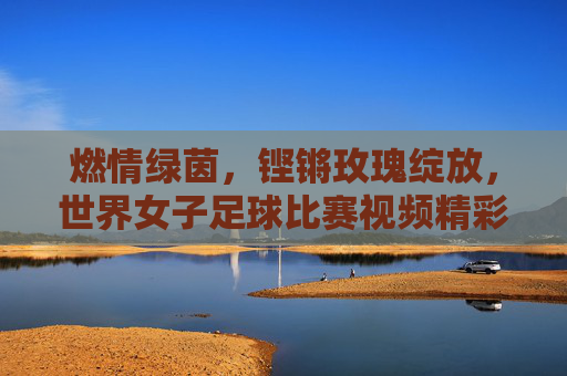 燃情绿茵,铿锵玫瑰绽放,世界女子足球比赛视频精彩回顾,燃情绿茵铿锵玫瑰绽放,世界女子足球比赛精彩回顾