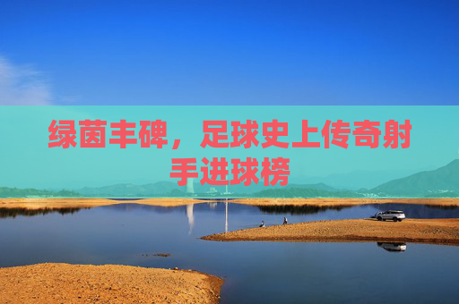 绿茵丰碑,足球史上传奇射手进球榜