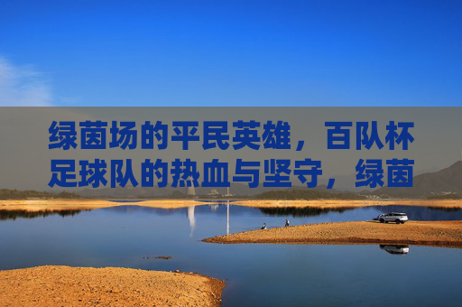 绿茵场的平民英雄，百队杯足球队的热血与坚守，绿茵场平民英雄，百队杯足球队的热血坚守