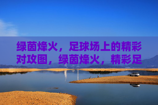绿茵烽火，足球场上的精彩对攻图，绿茵烽火，精彩足球对攻