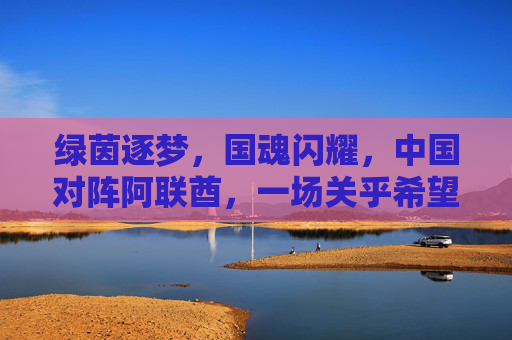 绿茵逐梦,国魂闪耀,中国对阵阿联酋,一场关乎希望的对决,中国VS阿联酋,绿茵逐梦,国魂闪耀的希望对决