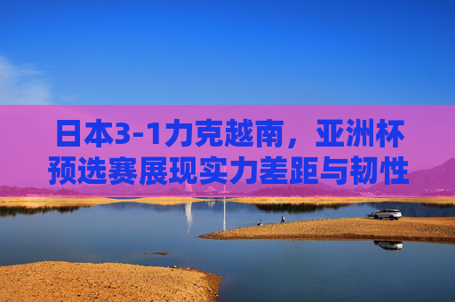 日本3-1力克越南，亚洲杯预选赛展现实力差距与韧性，日本3-1力克越南，亚洲杯预选赛展现实力差距与韧性