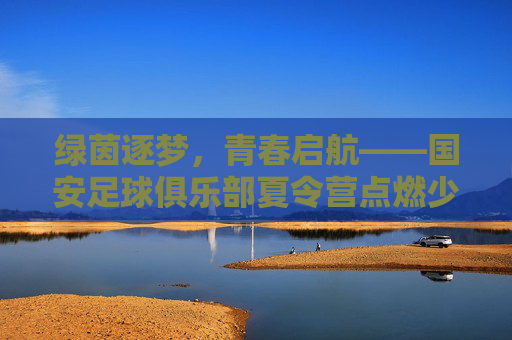 绿茵逐梦,青春启航——国安足球俱乐部夏令营点燃少年足球热情,绿茵逐梦,青春启航,国安夏令营点燃少年足球热情