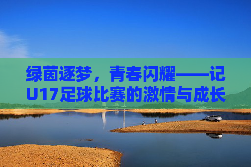 绿茵逐梦，青春闪耀——记U17足球比赛的激情与成长，绿茵逐梦，青春成长