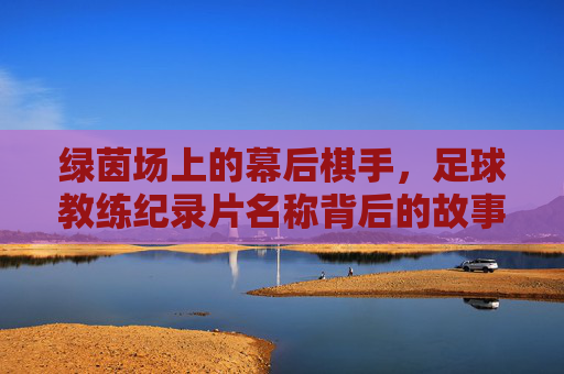 绿茵场上的幕后棋手,足球教练纪录片名称背后的故事与智慧,绿茵场上的幕后棋手,足球教练的故事与智慧