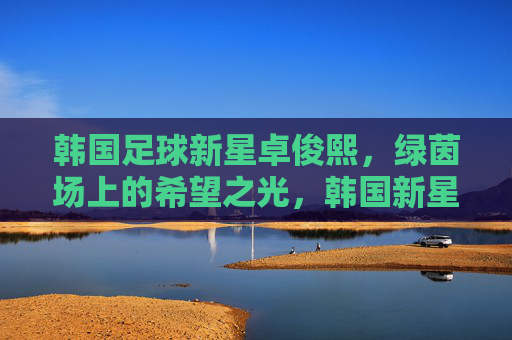 韩国足球新星卓俊熙,绿茵场上的希望之光,韩国新星卓俊熙,绿茵场希望之光