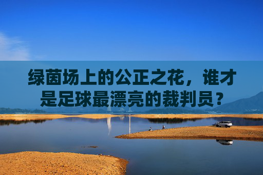 绿茵场上的公正之花,谁才是足球最漂亮的裁判员?