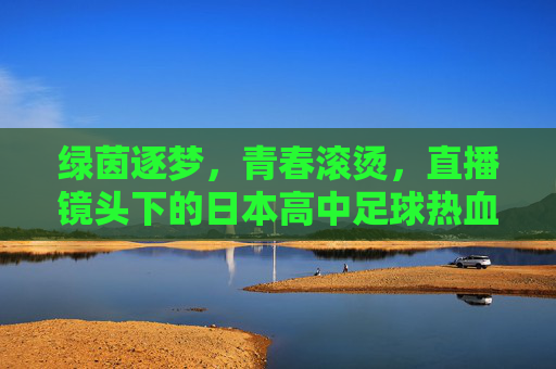 绿茵逐梦,青春滚烫,直播镜头下的日本高中足球热血史诗