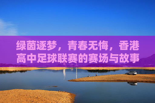 绿茵逐梦,青春无悔,香港高中足球联赛的赛场与故事,绿茵逐梦,青春无悔,香港高中足球联赛赛场故事