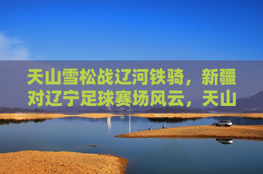 天山雪松战辽河铁骑,新疆对辽宁足球赛场风云,天山雪松战辽河铁骑,新疆辽宁足球赛场风云