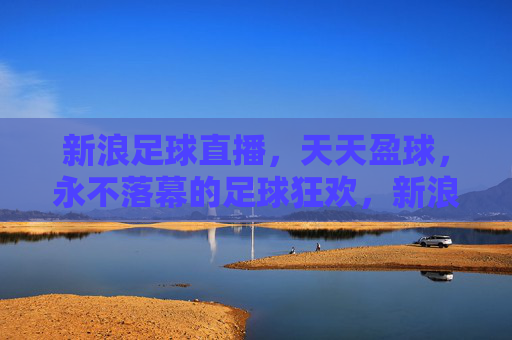 新浪足球直播,天天盈球,永不落幕的足球狂欢,新浪天天盈球,永不落幕的足球狂欢