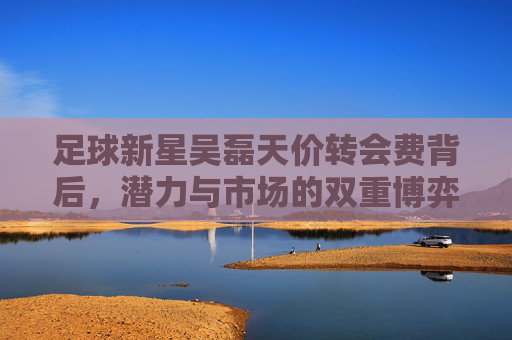 足球新星吴磊天价转会费背后,潜力与市场的双重博弈,足球新星吴磊天价转会费,潜力与市场的双重博弈