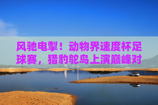 风驰电掣!动物界速度杯足球赛,猎豹鸵鸟上演巅峰对决,风驰电掣!猎豹鸵鸟巅峰对决——动物界速度杯足球赛