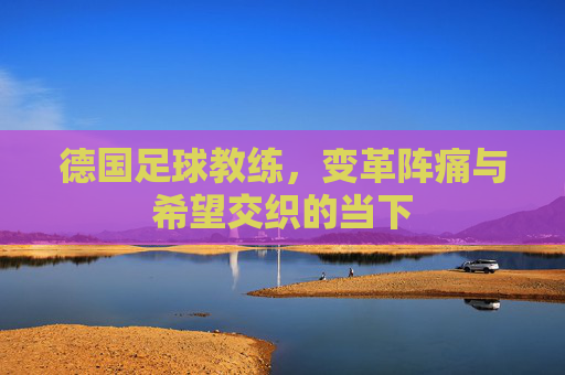 德国足球教练,变革阵痛与希望交织的当下