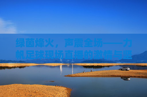 绿茵烽火，声震全场——力帆足球现场直播的激情与坚守，绿茵烽火直播，激情点燃，坚守如磐