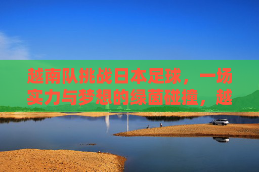 越南队挑战日本足球，一场实力与梦想的绿茵碰撞，越南挑战日本，实力与梦想的绿茵碰撞