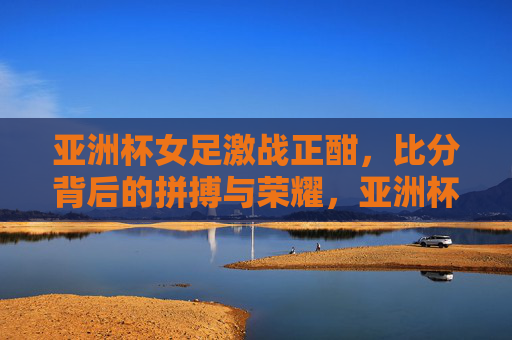 亚洲杯女足激战正酣，比分背后的拼搏与荣耀，亚洲杯女足激战，拼搏铸就荣耀