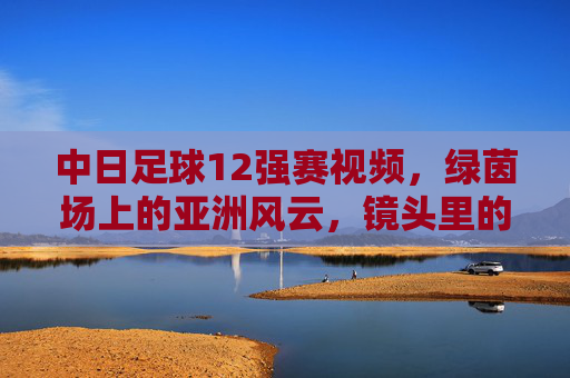 中日足球12强赛视频,绿茵场上的亚洲风云,镜头里的热血与遗憾,绿茵风云,中日12强赛的热血与遗憾