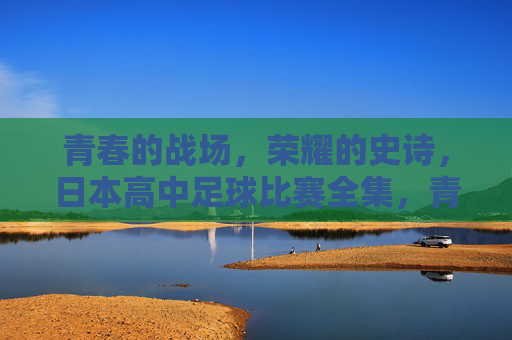 青春的战场，荣耀的史诗，日本高中足球比赛全集，青春战场·荣耀史诗，日本高中足球全集