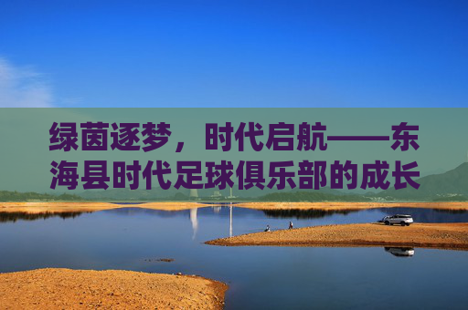 绿茵逐梦，时代启航——东海县时代足球俱乐部的成长与力量，时代启航，逐梦成长——东海县时代足球俱乐部