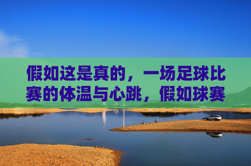 假如这是真的,一场足球比赛的体温与心跳,假如球赛有心跳与体温