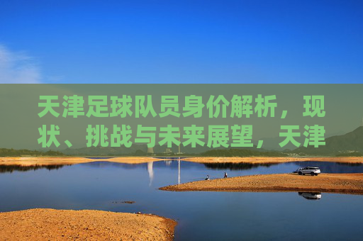 天津足球队员身价解析,现状、挑战与未来展望,天津足球队员身价,现状、挑战与未来展望
