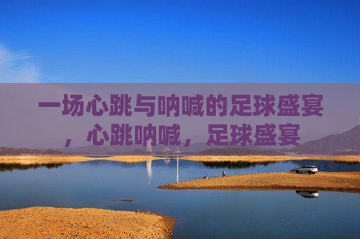 一场心跳与呐喊的足球盛宴,心跳呐喊,足球盛宴