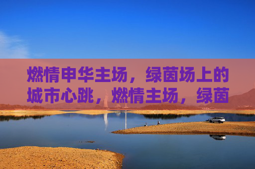 燃情申华主场,绿茵场上的城市心跳,燃情主场,绿茵场上的城市心跳