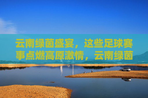 云南绿茵盛宴,这些足球赛事点燃高原激情,云南绿茵盛宴点燃高原足球激情