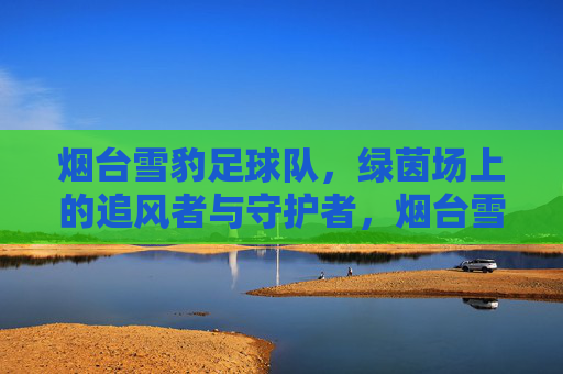 烟台雪豹足球队,绿茵场上的追风者与守护者,烟台雪豹,绿茵场上的追风者与守护者