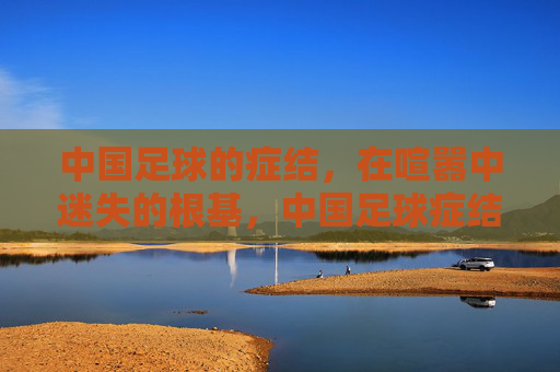 中国足球的症结,在喧嚣中迷失的根基,中国足球症结,喧嚣中迷失的根基