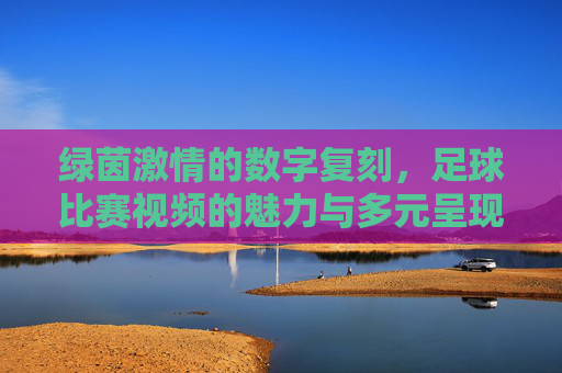 绿茵激情的数字复刻,足球比赛视频的魅力与多元呈现,足球比赛视频,绿茵激情的数字复刻与多元魅力