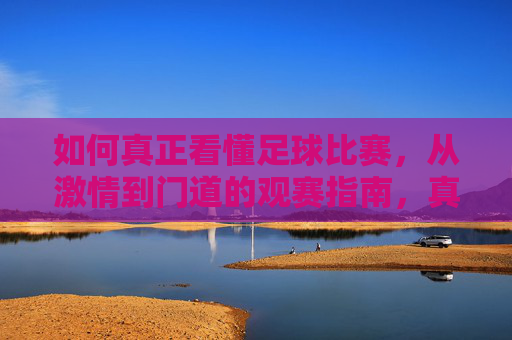 如何真正看懂足球比赛，从激情到门道的观赛指南，真正看懂足球，从激情观赛到门道指南