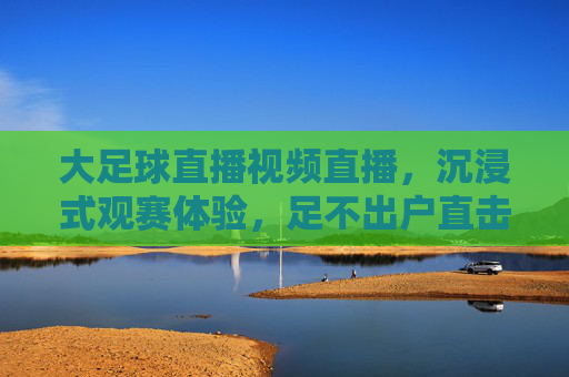 大足球直播视频直播,沉浸式观赛体验,足不出户直击赛场激情