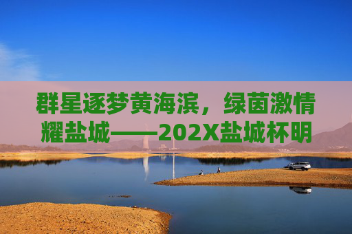 群星逐梦黄海滨，绿茵激情耀盐城——202X盐城杯明星足球赛燃情落幕，202X盐城杯明星足球赛，群星逐梦盐城，绿茵激情落幕