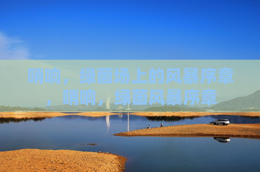 哨响,绿茵场上的风暴序章,哨响,绿茵风暴序章