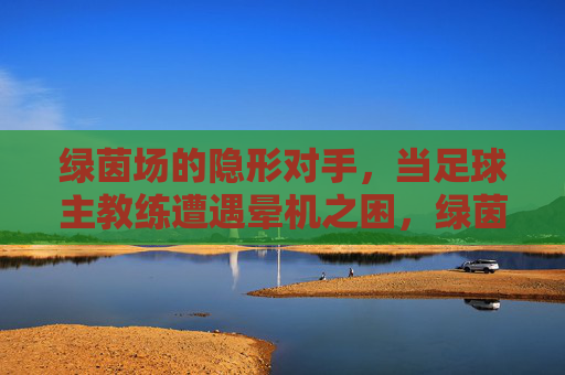 绿茵场的隐形对手,当足球主教练遭遇晕机之困,绿茵场隐形对手,足球教练的晕机之困