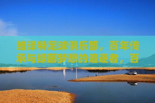 维泽特足球俱乐部，百年传承与绿茵梦想的追逐者，百年维泽特，绿茵梦想的传承者
