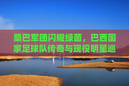 桑巴军团闪耀绿茵,巴西国家足球队传奇与现役明星巡礼,桑巴军团闪耀绿茵,传奇与现役明星巡礼