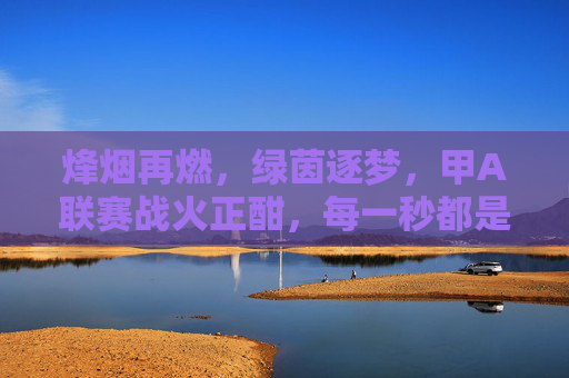 烽烟再燃,绿茵逐梦,甲A联赛战火正酣,每一秒都是热血沸腾,烽烟再燃,甲A绿茵热血逐梦
