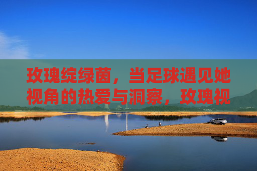 玫瑰绽绿茵,当足球遇见她视角的热爱与洞察,玫瑰视角,绿茵场上的热爱与洞察